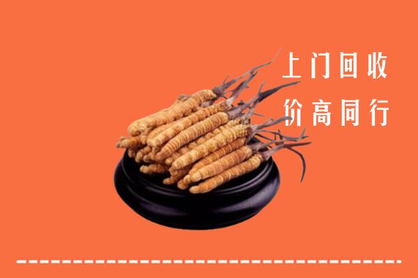 收购行情：聂拉木县冬虫夏草回收多少钱每克