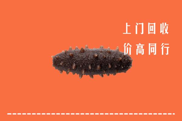 收购行情：聂拉木县回收海参