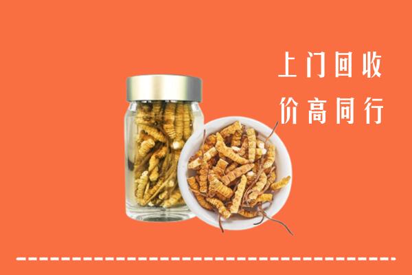 附近收购：聂拉木县回收冬虫夏草