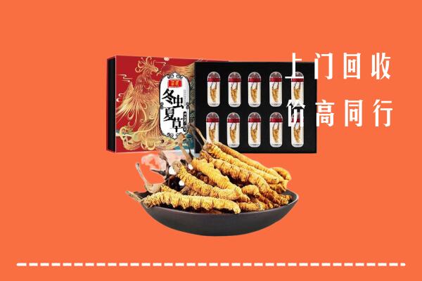 聂拉木县回收虫草